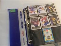 100+ Hockey Cards in a Binder