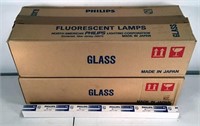 F15 T8/CW Fluorescent Light Bulbs