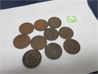 Indian head pennies