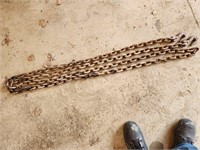 Chain 18'x3/8" 2 hooks