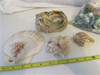 Seashell Box Lot - Shells are real