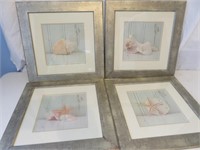 (4) 15 x 15 Sea Shell Art Pictures