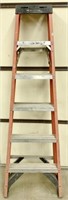Werner 6 Foot Fiberglass Step ladder