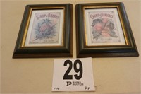 Pair of Framed Decor Pictures (R1)