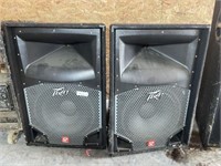 Two Peavey speakers
