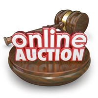 ONLINE AUCTION TIMES