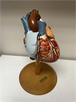 Medical Plastics Laboratory Heart Model