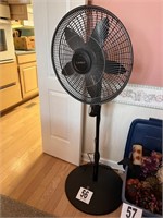 Large Fan (DR)