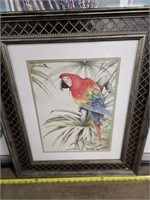 Jean Cassidy parrot print