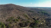 Wooded Land for Sale in Woolwine VA