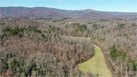 Recreational Land for Sale in Woolwine VA
