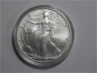 2004 Walking Liberty Silver Dollar .999 Silver