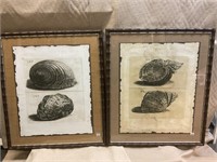 Art - pair of shell pictures