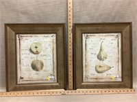 Art - pair of fruit prints