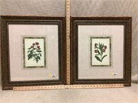 Art - pair of botanicals prints