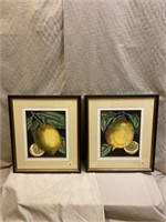 Art - Pair of framed prints