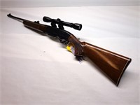 Remington 742 Wingmaster, 243