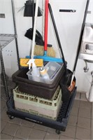 VARIETY OF CLEANING ITEMS