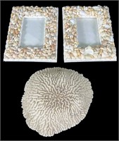 2 SEASHELL PICTURE FRAMES AND 1 PIECE OF CORAL