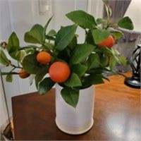 Fake orange plant in white pot