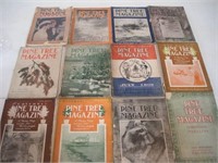 1906 "Pine Tree" Magazines