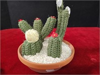 Crocheted Cactus in a Pot