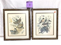 2 Arthur Singer Framed Bird Prints