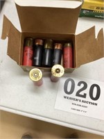 12 shot shells (7)