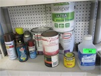 All Paint, Plastic & Other Items on Shelf