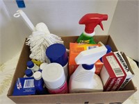 Group of cleaning supplies