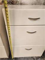 11 - PAIR OF MATCHING CABINETS