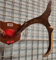 11 - MOUNTED ANTLERS (7)