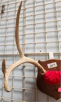 11 - MOUNTED ANTLERS (2)
