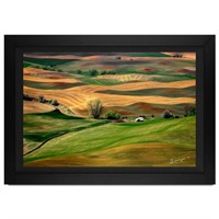 Jongas, "Countryside" Framed Limited Edition Photo