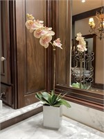 SILK ORCHID PLANT