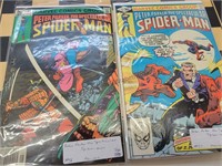 2 Peter Park the Spectacular spider Man
