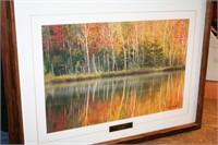 Fall Color Reflections by Nick Bristol - Framed