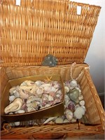 Wicker Basket With Assortment of Seashells