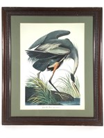 Framed Offset Audubon Print Great Blue Heron