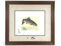 Robert Frankowiak Brown Trout LE Print, Stamp, Fly