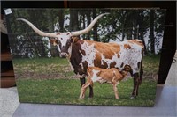 Framed Canvas Photo of Longhorn and baby