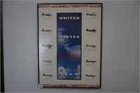 Framed Poster United States Aerobatic Team