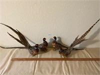 4 Real Feathered Pheasants Figurines