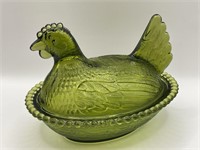Olive Green Indiana Hen on Nest