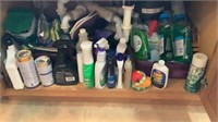 Assortment Of Cleaning Supplies