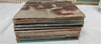 Lot of 25+ Records-