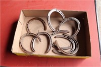 tray lot - horseshoes