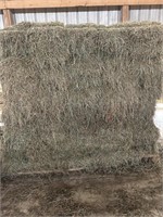 Lot of 40 second cutting small square bales