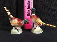 Ucagco Pheasants