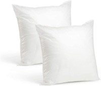 Set of 2 20x20" Throw Pillow Inserts